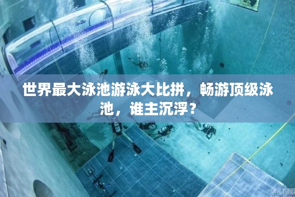世界最大泳池游泳大比拼，畅游顶级泳池，谁主沉浮？