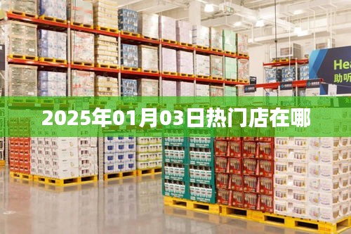 模特 第5页