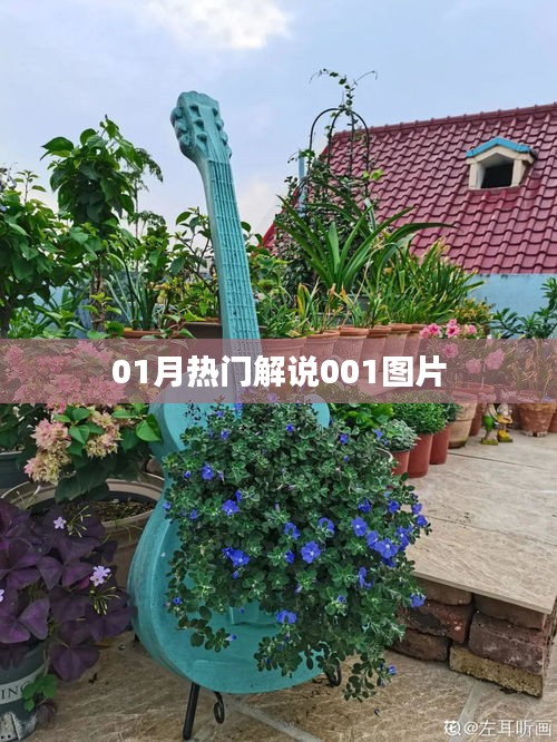 衣不兼采