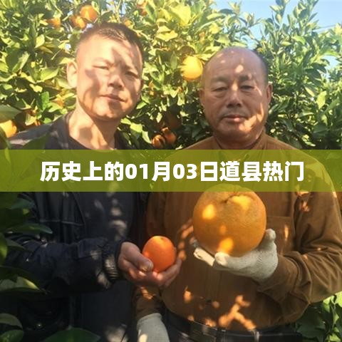 道县历史一月三日大事记，热门事件回顾