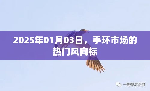 2025年手环市场趋势洞察，风向标热门解析