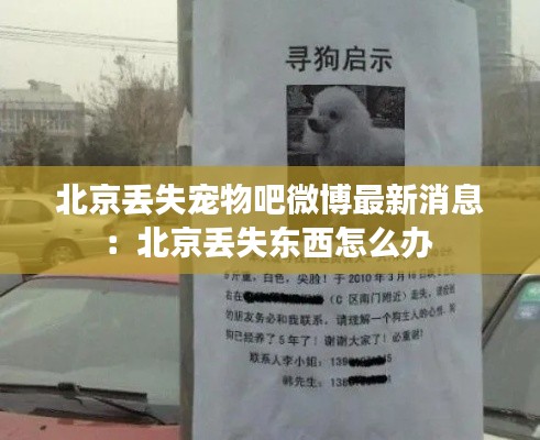 彬彬有礼
