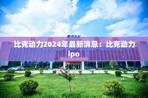比克动力2024年最新消息：比克动力 ipo 