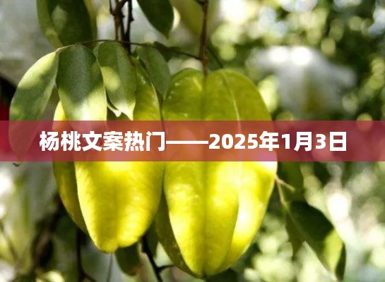 杨桃文案精选，热门佳作，2025年元旦献礼