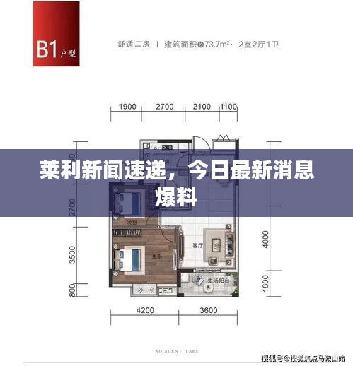 莱利新闻速递，今日最新消息爆料