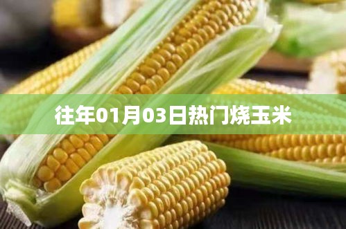 往年元旦后玉米热潮，烧玉米成焦点