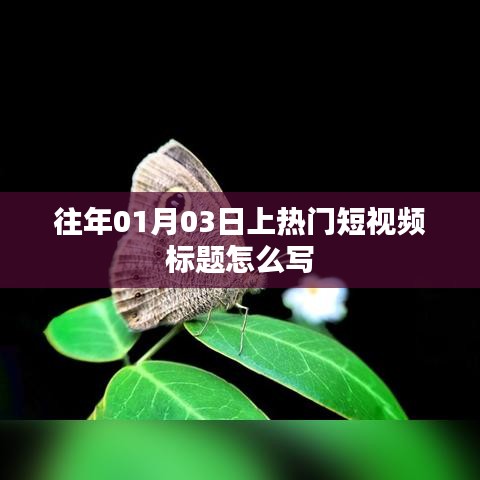 热门短视频秘籍，如何撰写吸引眼球的标题？