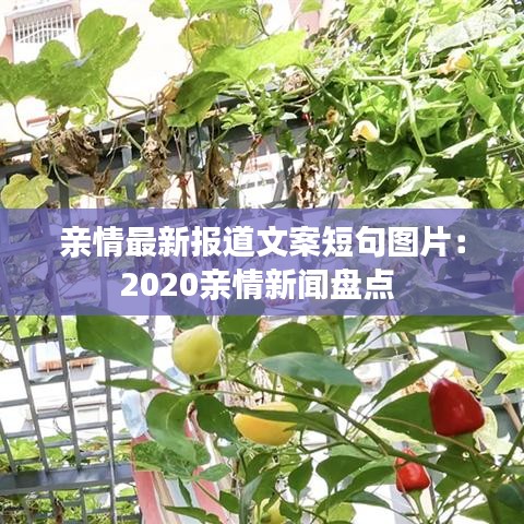 亲情最新报道文案短句图片：2020亲情新闻盘点 
