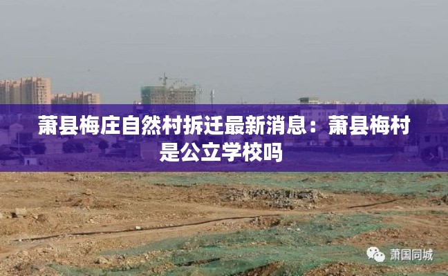 萧县梅庄自然村拆迁最新消息：萧县梅村是公立学校吗 