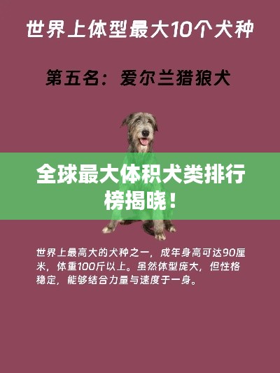 栖冲业简