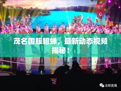 茂名国服貂蝉,最新动态视频揭秘!