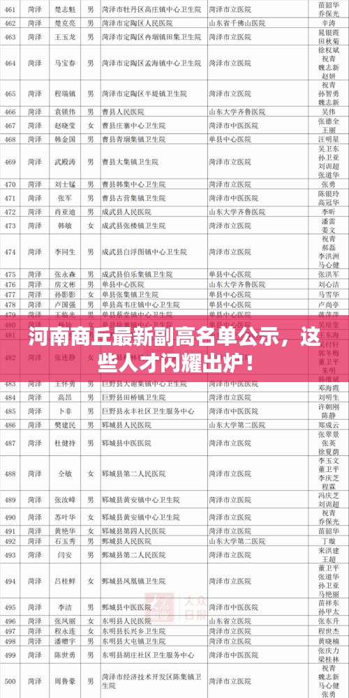 河南商丘最新副高名单公示，这些人才闪耀出炉！