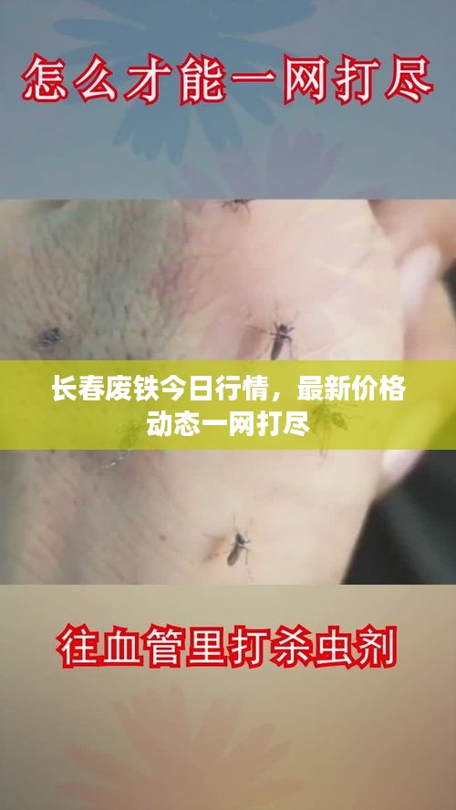 长春废铁今日行情，最新价格动态一网打尽