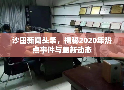 沙田新闻头条，揭秘2020年热点事件与最新动态