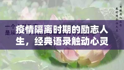 疫情隔离时期的励志人生，经典语录触动心灵，启迪人生智慧