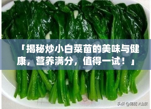 「揭秘炒小白菜苗的美味与健康，营养满分，值得一试！」