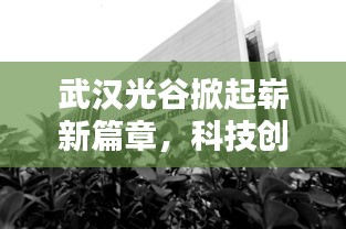 武汉光谷掀起崭新篇章，科技创新引领时代风潮