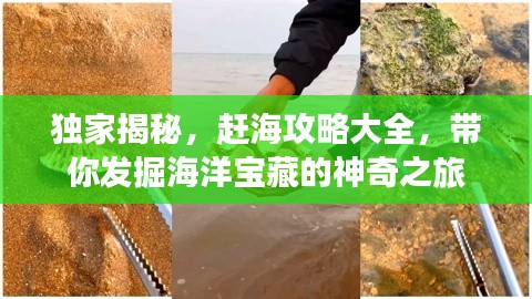 独家揭秘，赶海攻略大全，带你发掘海洋宝藏的神奇之旅