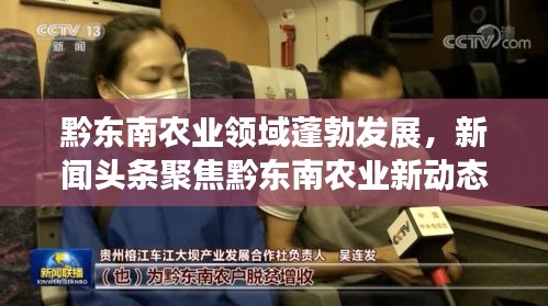 黔东南农业领域蓬勃发展，新闻头条聚焦黔东南农业新动态