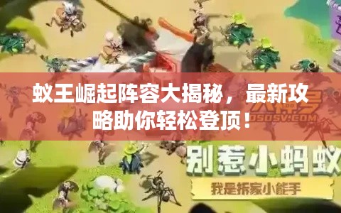 蚁王崛起阵容大揭秘，最新攻略助你轻松登顶！