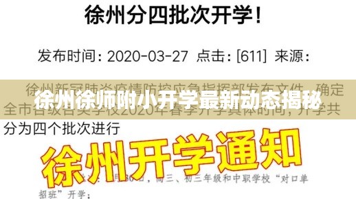 徐州徐师附小开学最新动态揭秘