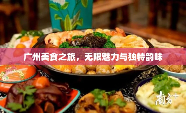 广州美食之旅，无限魅力与独特韵味