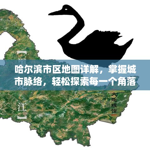 哈尔滨市区地图详解，掌握城市脉络，轻松探索每一个角落