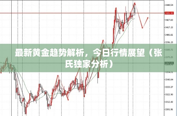 最新黄金趋势解析，今日行情展望（张氏独家分析）
