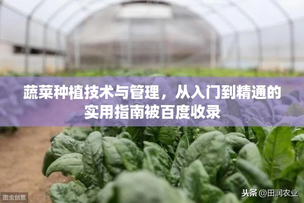 蔬菜种植技术与管理，从入门到精通的实用指南被百度收录