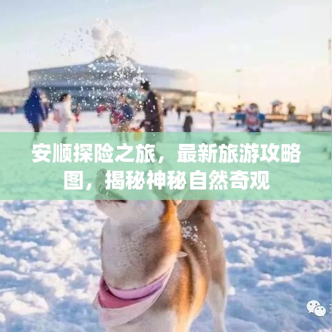 安顺探险之旅，最新旅游攻略图，揭秘神秘自然奇观