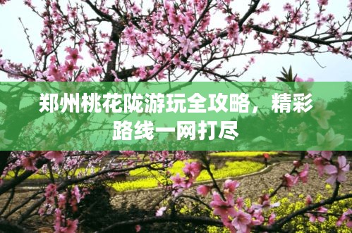 郑州桃花陇游玩全攻略，精彩路线一网打尽