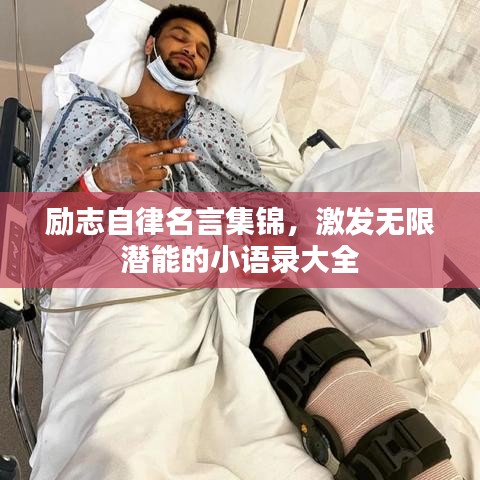 励志自律名言集锦，激发无限潜能的小语录大全