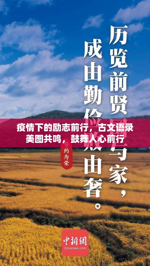 疫情下的励志前行，古文语录美图共鸣，鼓舞人心前行