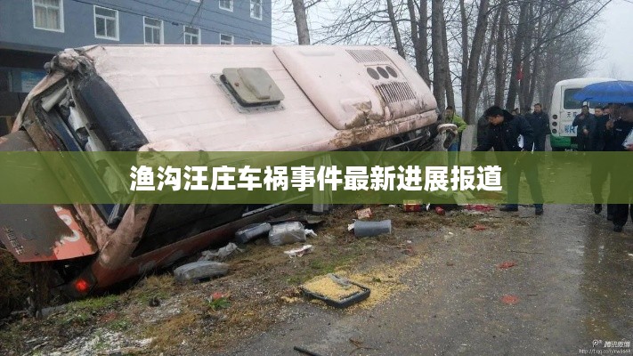 渔沟汪庄车祸事件最新进展报道