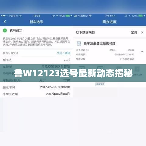 鲁W12123选号最新动态揭秘