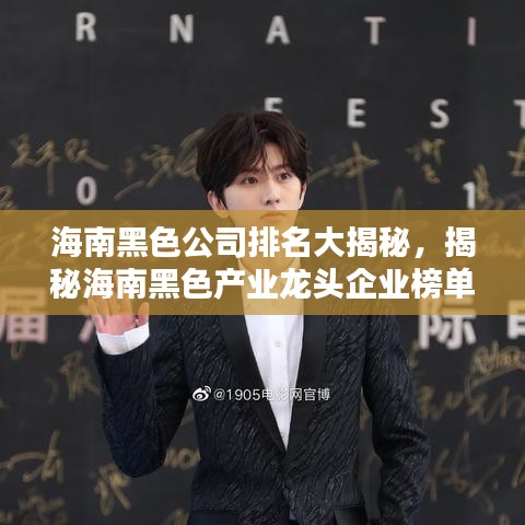 海南黑色公司排名大揭秘，揭秘海南黑色产业龙头企业榜单