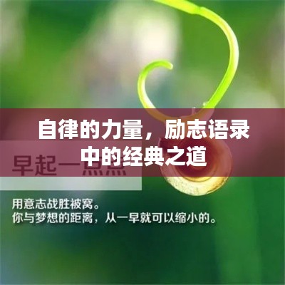 自律的力量，励志语录中的经典之道