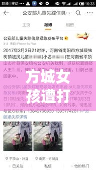 方城女孩遭打事件揭秘，最新视频汇总与事件深度探讨