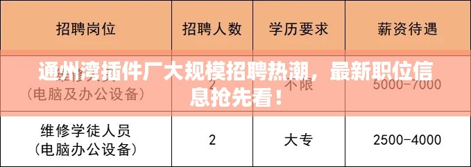 通州湾插件厂大规模招聘热潮，最新职位信息抢先看！