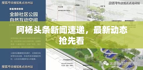 阿杨头条新闻速递，最新动态抢先看