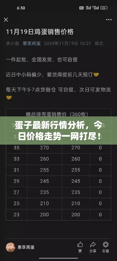 蛋子最新行情分析，今日价格走势一网打尽！