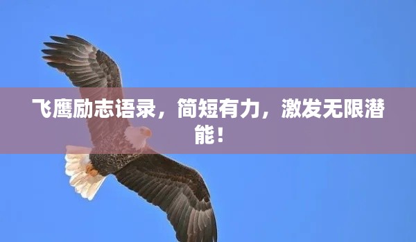 飞鹰励志语录，简短有力，激发无限潜能！