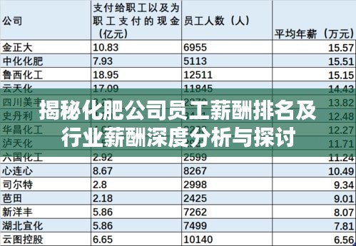 揭秘化肥公司员工薪酬排名及行业薪酬深度分析与探讨