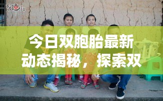 今日双胞胎最新动态揭秘，探索双胞胎世界的精彩瞬间