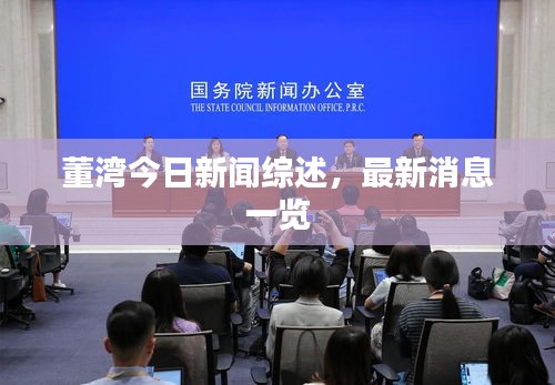 董湾今日新闻综述，最新消息一览