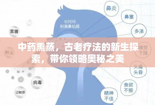 中药熏蒸，古老疗法的新生探索，带你领略奥秘之美
