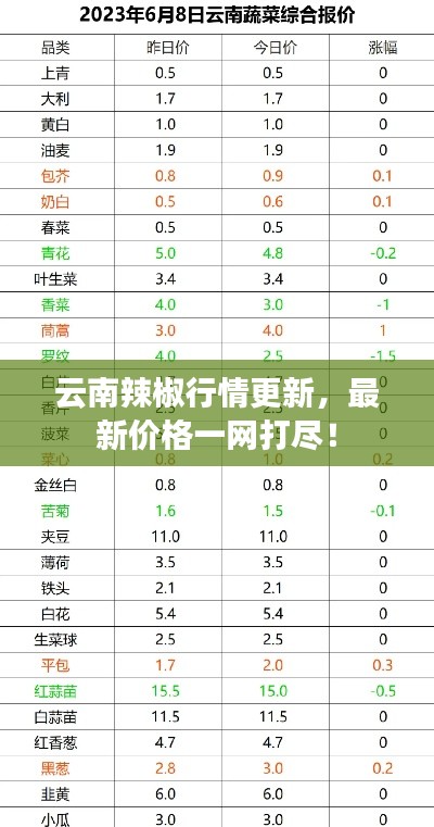 云南辣椒行情更新，最新价格一网打尽！