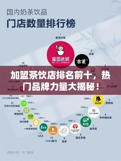 加盟茶饮店排名前十，热门品牌力量大揭秘！