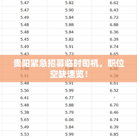 贵阳紧急招募临时司机，职位空缺速览！