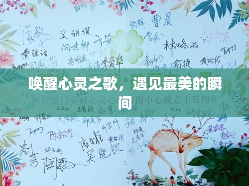 唤醒心灵之歌，遇见最美的瞬间